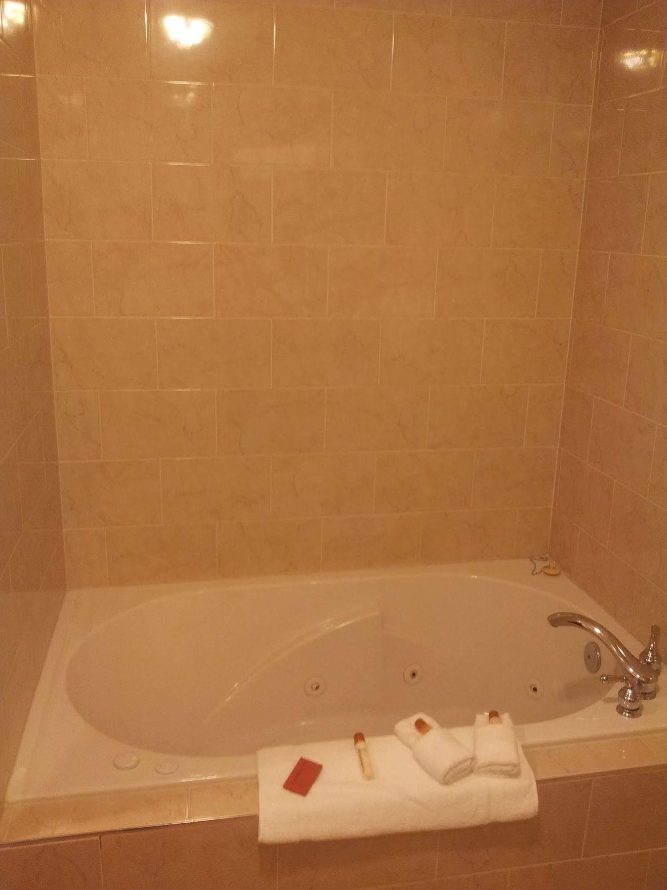 Belvedere Inn Schenectady - Albany Экстерьер фото